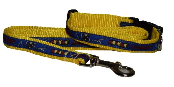 Dog Collar, Agility Collar on Yellow Webbing with Matching Leash (Medium)